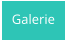 Galerie